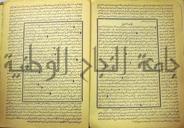 السراج المنير شرح الجامع الصغير في حديث البشير النذير : ج3