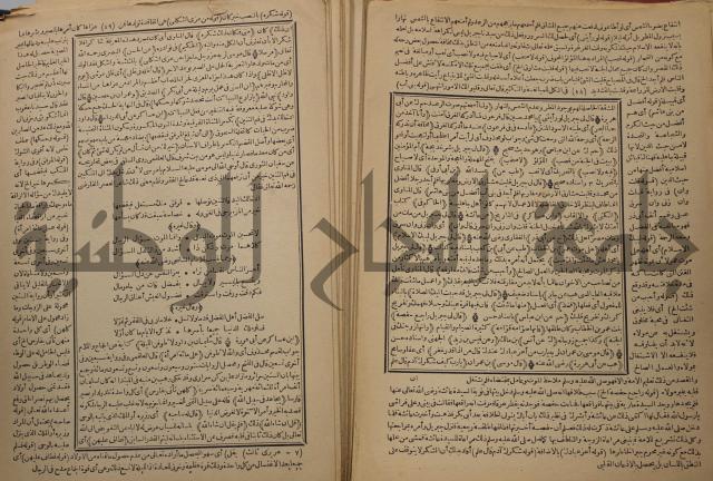 السراج المنير شرح الجامع الصغير في حديث البشير النذير : ج3