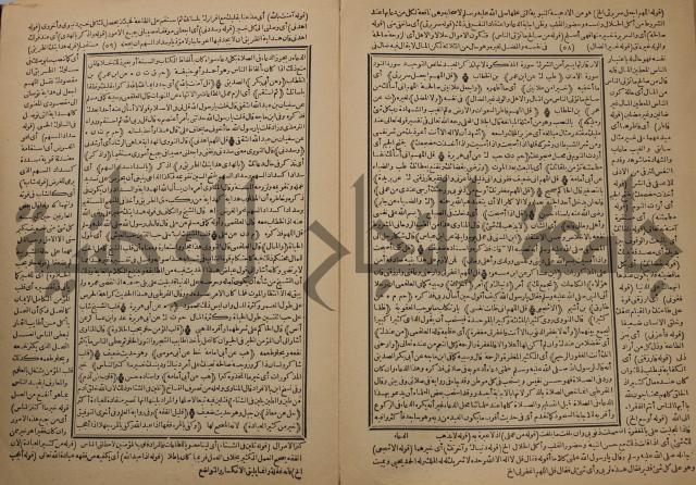 السراج المنير شرح الجامع الصغير في حديث البشير النذير : ج3