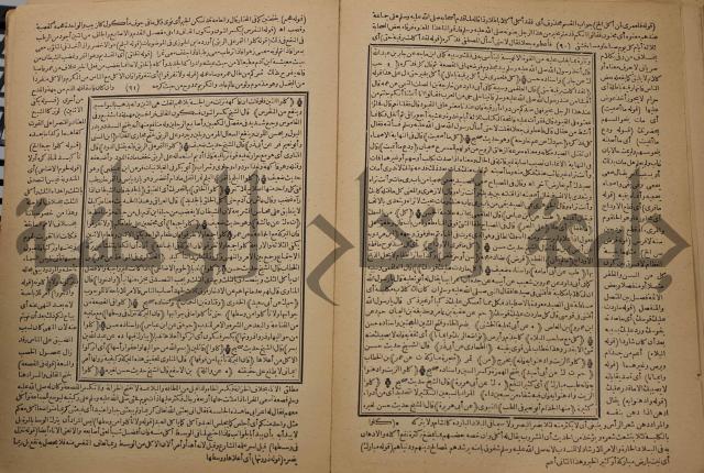 السراج المنير شرح الجامع الصغير في حديث البشير النذير : ج3