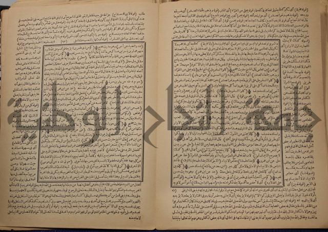 السراج المنير شرح الجامع الصغير في حديث البشير النذير : ج3