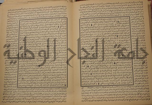 السراج المنير شرح الجامع الصغير في حديث البشير النذير : ج3