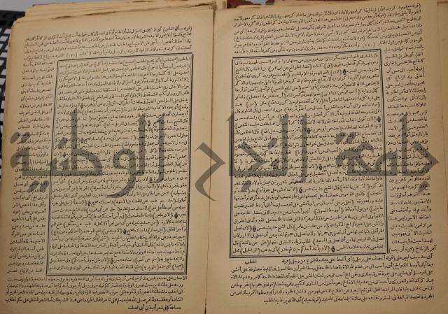 السراج المنير شرح الجامع الصغير في حديث البشير النذير : ج3