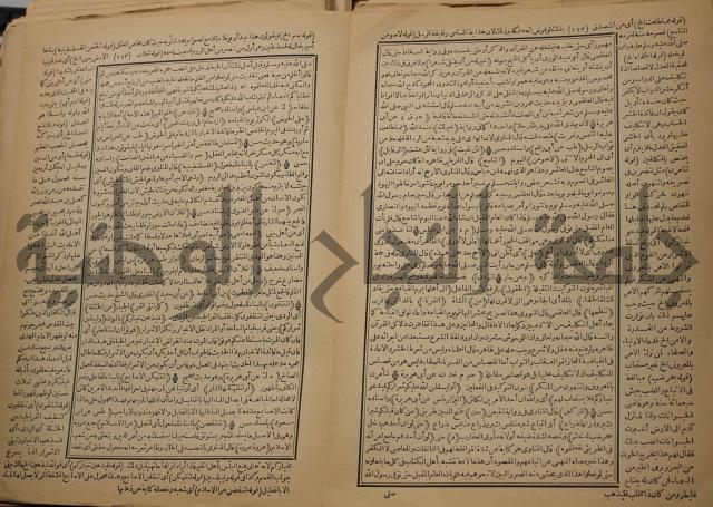 السراج المنير شرح الجامع الصغير في حديث البشير النذير : ج3