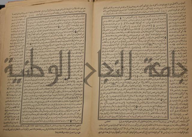 السراج المنير شرح الجامع الصغير في حديث البشير النذير : ج3