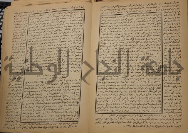 السراج المنير شرح الجامع الصغير في حديث البشير النذير : ج3