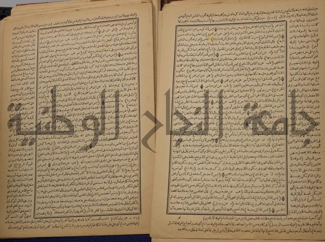 السراج المنير شرح الجامع الصغير في حديث البشير النذير : ج3