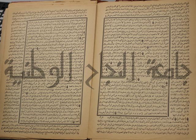 السراج المنير شرح الجامع الصغير في حديث البشير النذير : ج3