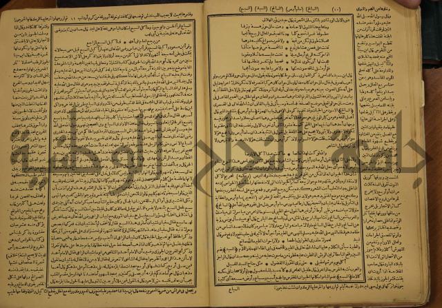 حياة الحيوان الكبرى