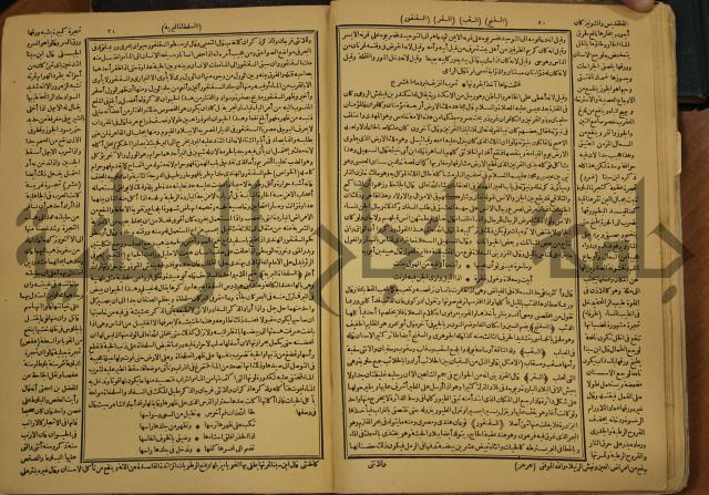 حياة الحيوان الكبرى