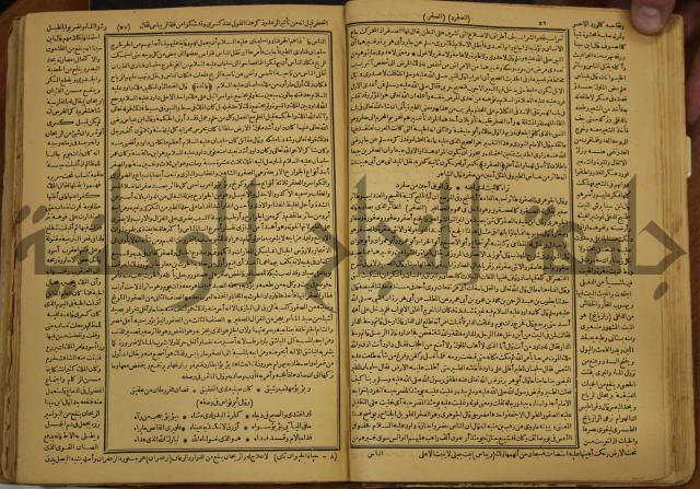حياة الحيوان الكبرى