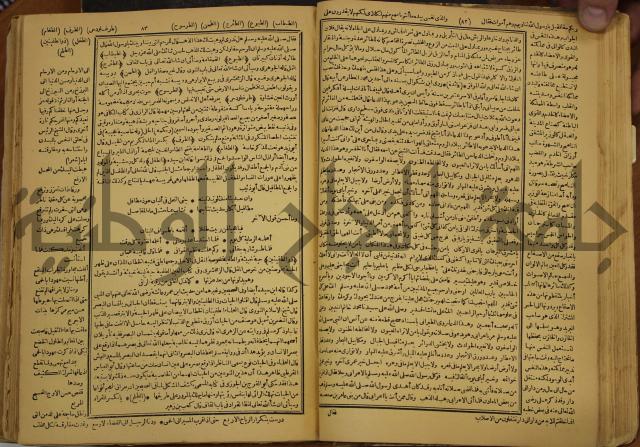 حياة الحيوان الكبرى