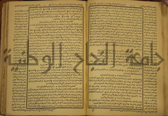 حياة الحيوان الكبرى