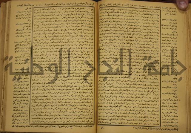 حياة الحيوان الكبرى