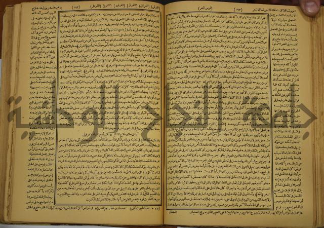 حياة الحيوان الكبرى