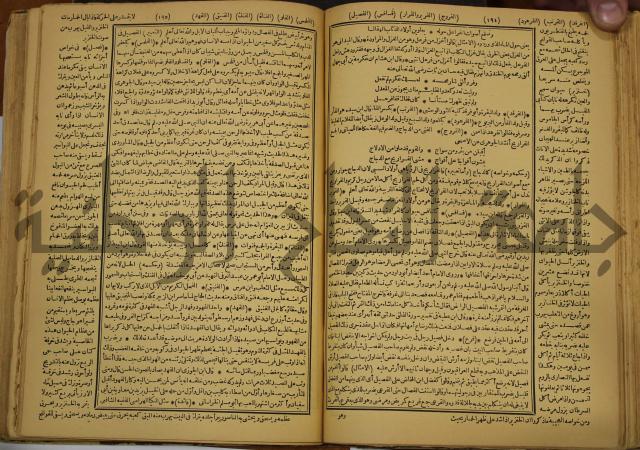 حياة الحيوان الكبرى