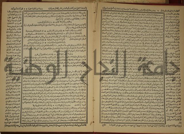 العقد الفريد : ج2