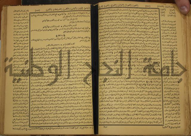 حياة الحيوان الكبرى