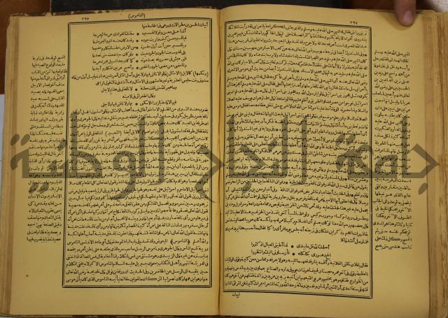 حياة الحيوان الكبرى