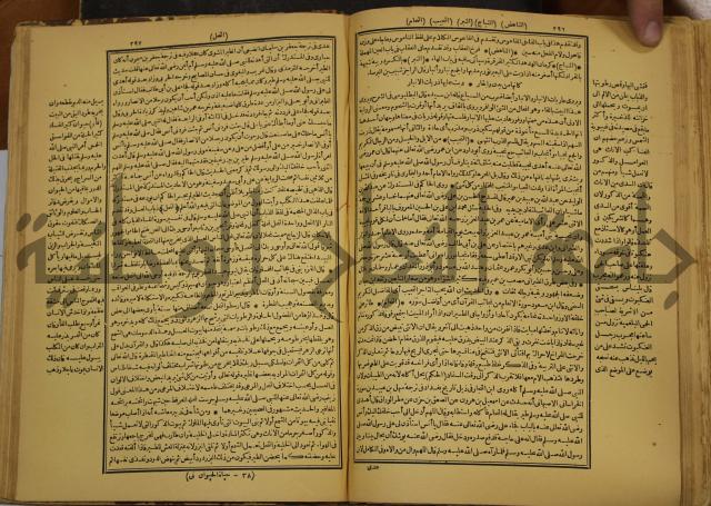 حياة الحيوان الكبرى