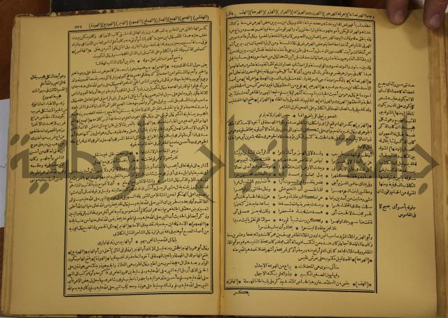 حياة الحيوان الكبرى