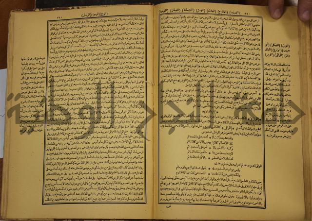 حياة الحيوان الكبرى