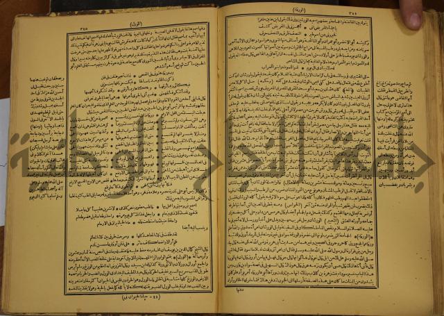 حياة الحيوان الكبرى
