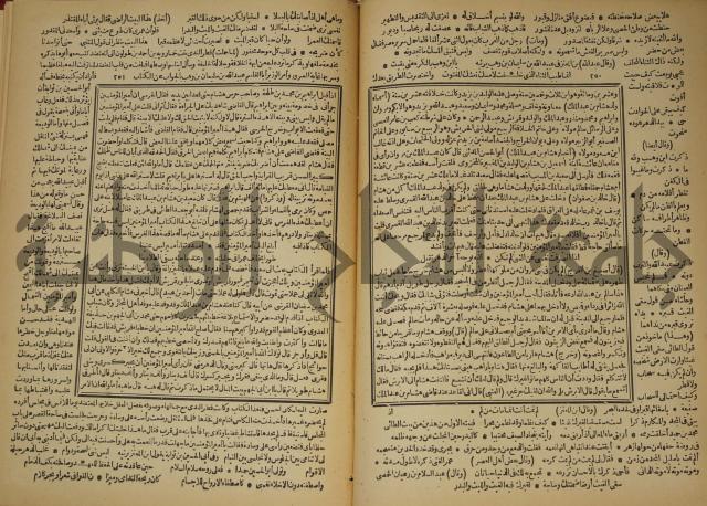 العقد الفريد : ج2