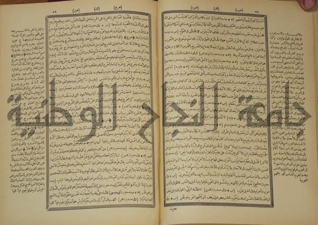 النهاية في غريب الحديث والاثر 