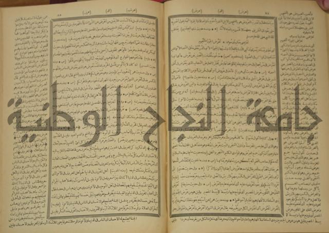 النهاية في غريب الحديث والاثر 