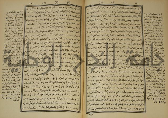 النهاية في غريب الحديث والاثر 