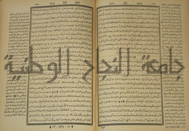 النهاية في غريب الحديث والاثر 