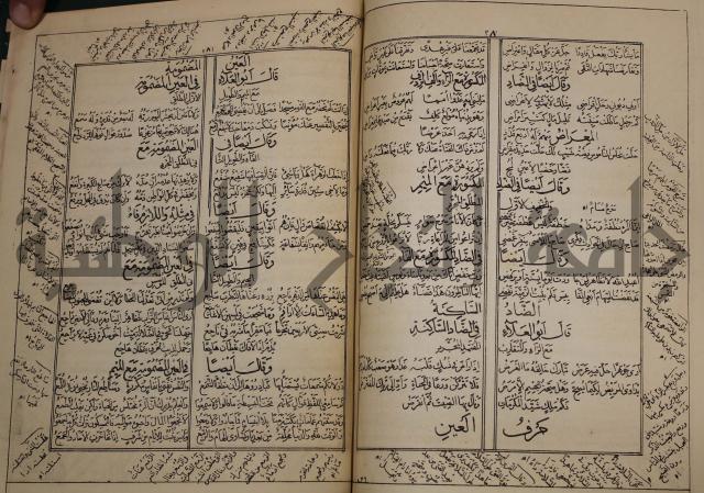 كتاب لزوم ما لا يلزم