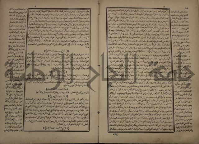 تاريخ الكامل وبهامشه تاريخ مروج الذهب ومعادن الجوهر لامام ابن الحسن بن الحسين المسعود