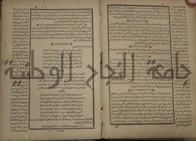 تاريخ الكامل وبهامشه تاريخ مروج الذهب ومعادن الجوهر لامام ابن الحسن بن الحسين المسعود