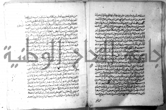 نسيم الرياض 3 