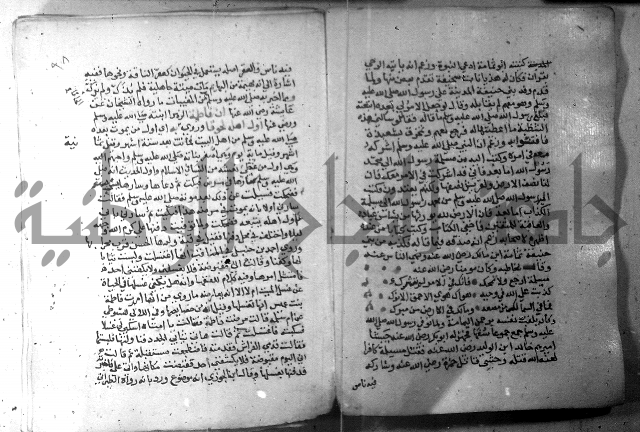 نسيم الرياض 3 