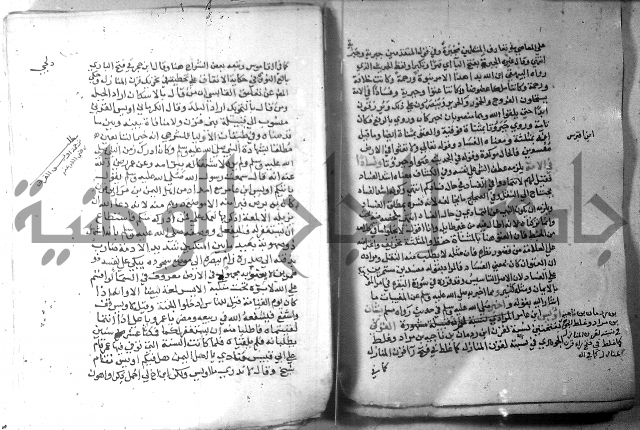 نسيم الرياض 3 