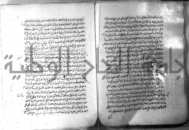 نسيم الرياض 3 