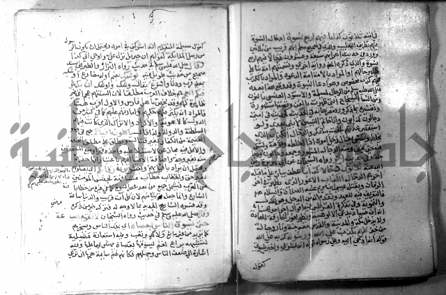 نسيم الرياض 3 