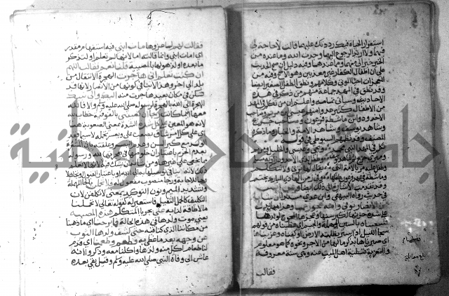 نسيم الرياض 3 