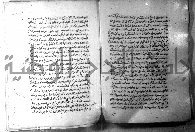 نسيم الرياض 3 