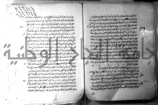 نسيم الرياض 3 