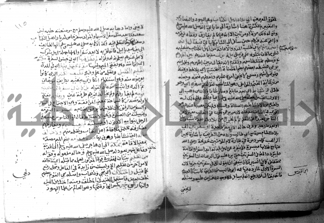 نسيم الرياض 3 