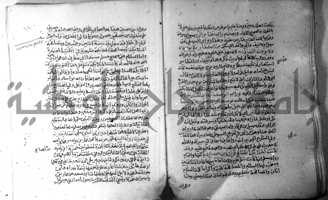 نسيم الرياض 3 