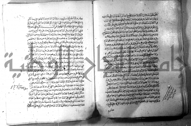 نسيم الرياض 3 