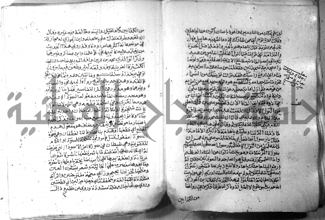 نسيم الرياض 3 