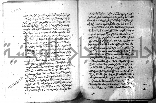 نسيم الرياض 3 