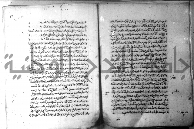 نسيم الرياض 3 