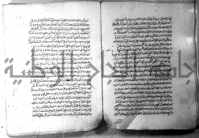 نسيم الرياض 3 